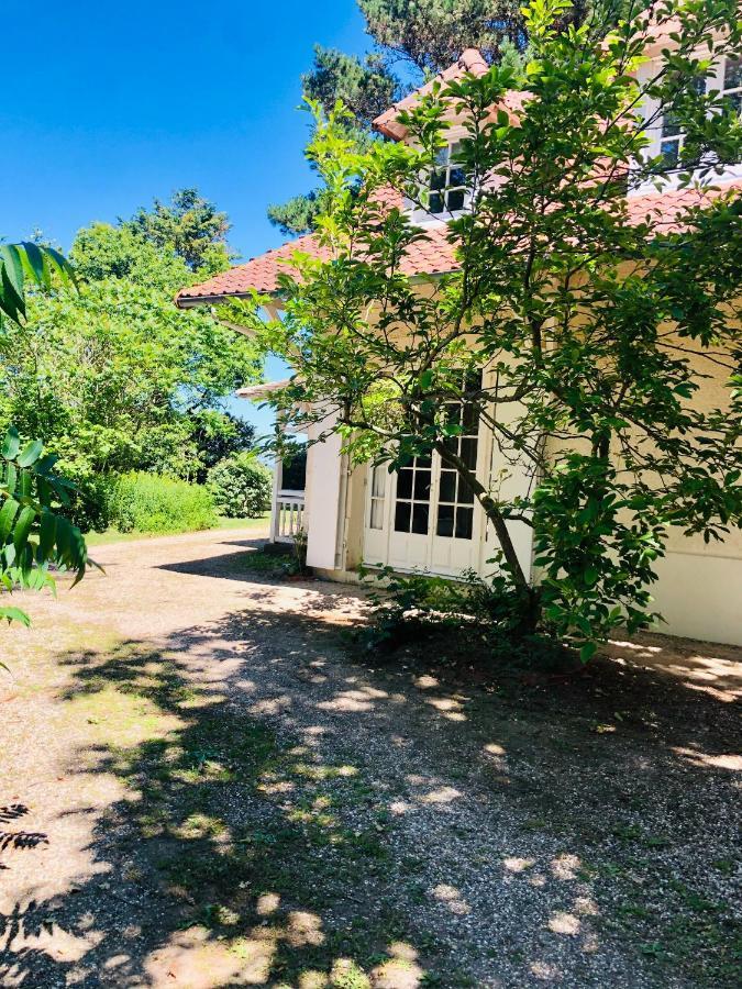 Villa Vue Mer Avec Acces Direct A La Plage Varengeville-sur-Mer Zewnętrze zdjęcie
